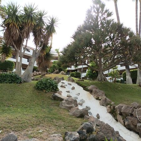 Estudio En Tenerife Con Piscina / Study Flat With Pool Apartment San Miguel de Abona Luaran gambar