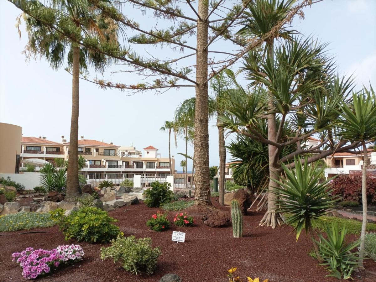 Estudio En Tenerife Con Piscina / Study Flat With Pool Apartment San Miguel de Abona Luaran gambar